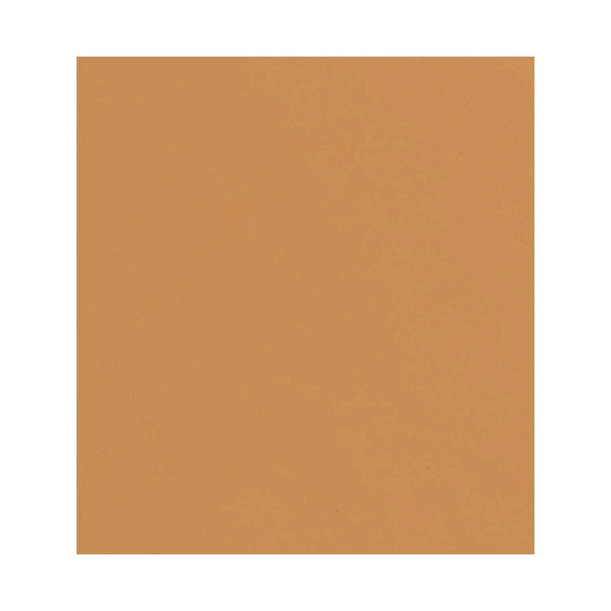 CHANEL LES BEIGES HEALTHY GLOW SHEER POWDER - br152