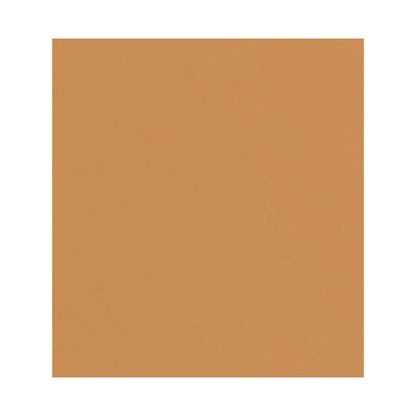 CHANEL LES BEIGES HEALTHY GLOW SHEER POWDER - br152