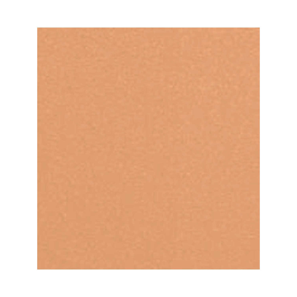 CHANEL LES BEIGES HEALTHY GLOW SHEER POWDER - B50