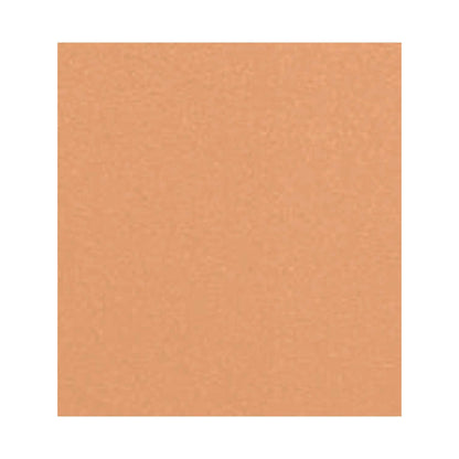 CHANEL LES BEIGES HEALTHY GLOW SHEER POWDER - B50