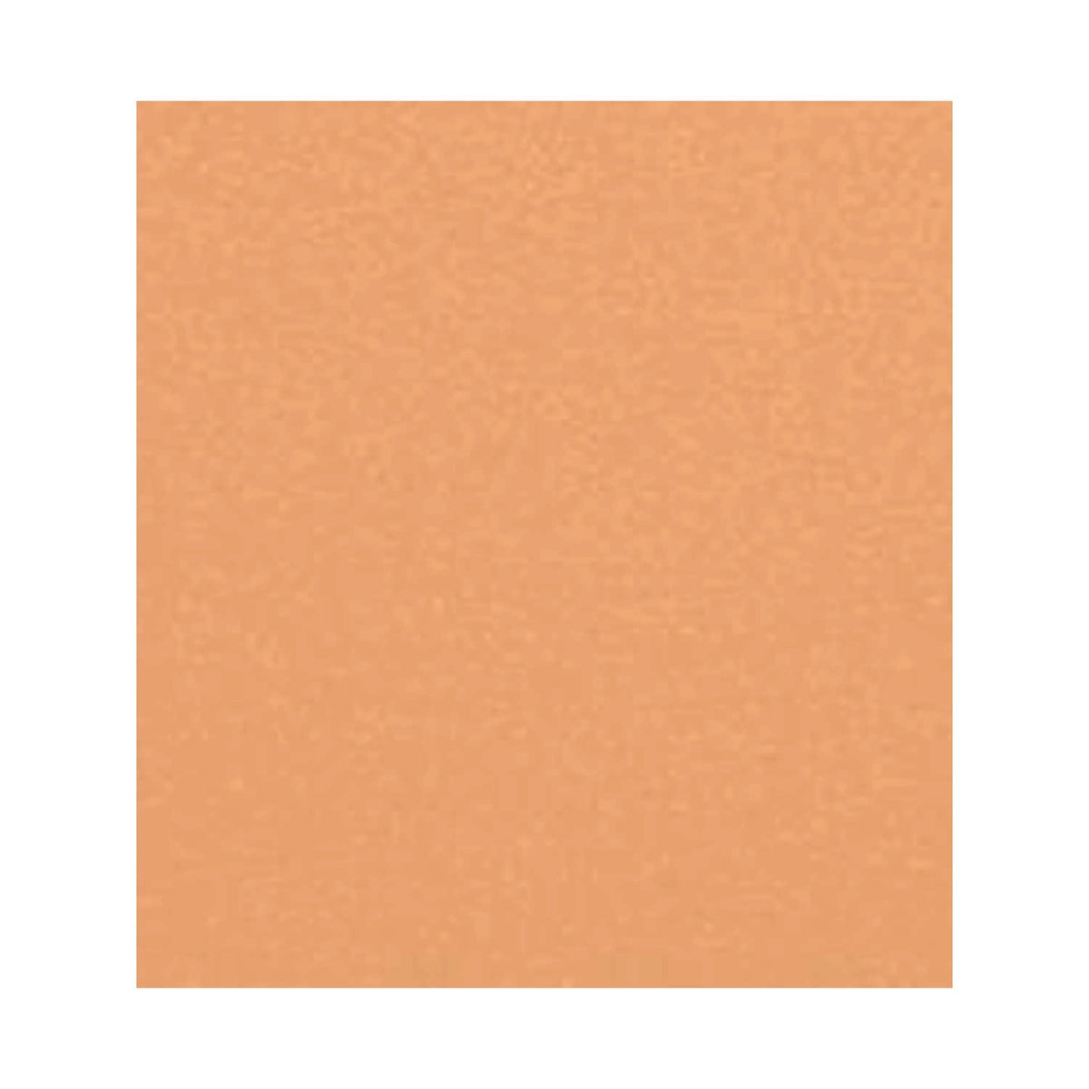 CHANEL LES BEIGES HEALTHY GLOW SHEER POWDER - B40