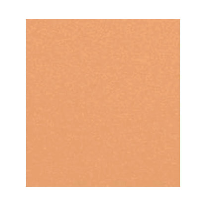 CHANEL LES BEIGES HEALTHY GLOW SHEER POWDER - B40