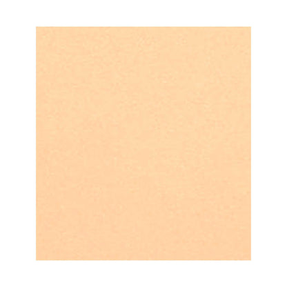 CHANEL LES BEIGES HEALTHY GLOW SHEER POWDER - B20