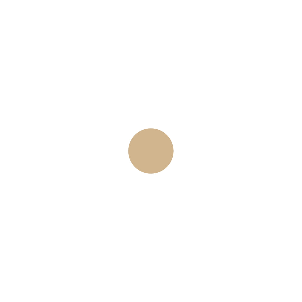 NYX Professional Makeup Can't Stop Won't Stop Contour Concealer - Beige