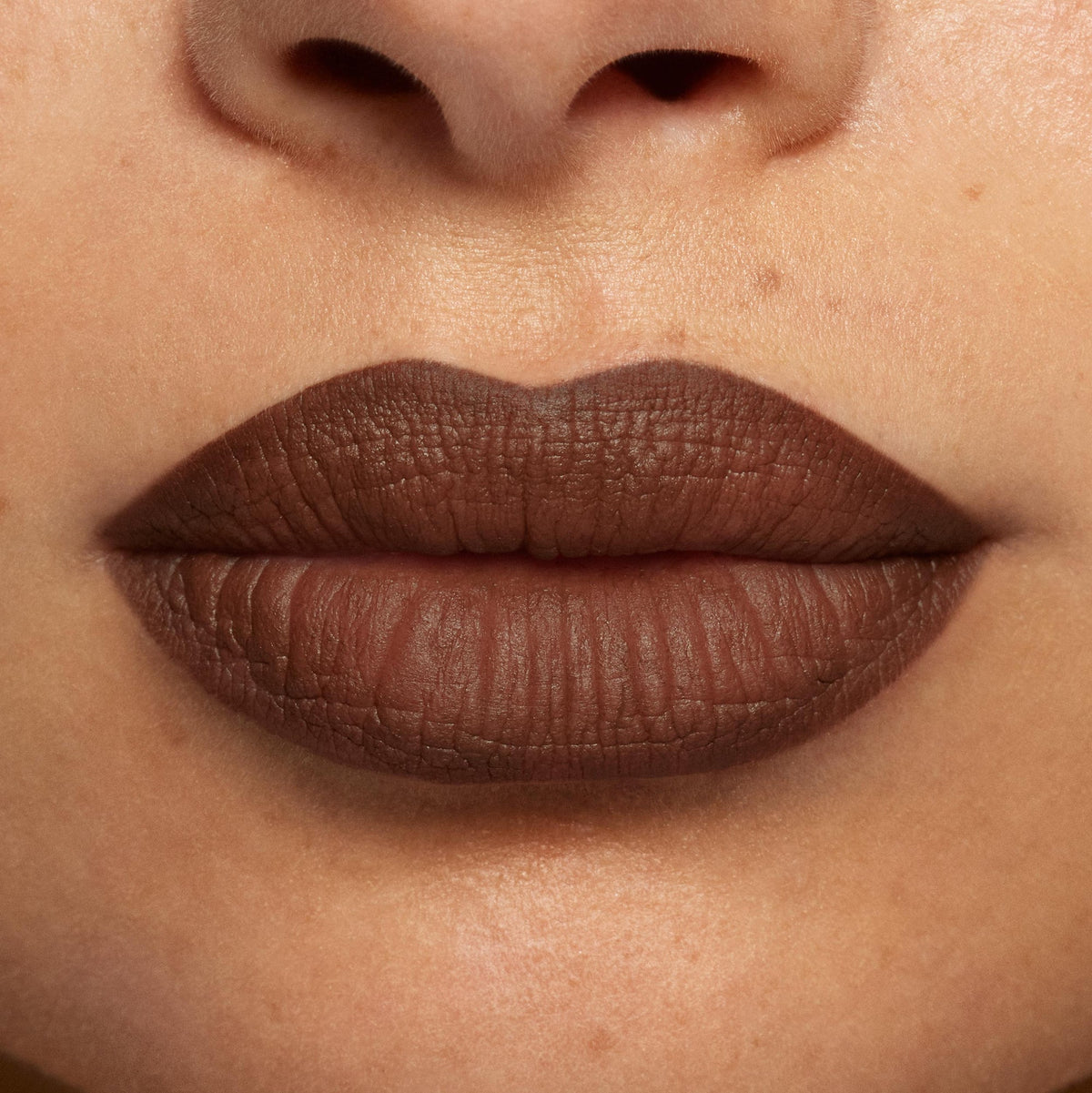 kylie-cosmetics Plumping Matte Lip Kit - true brown k