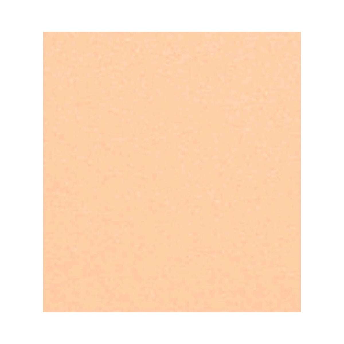 CHANEL LES BEIGES HEALTHY GLOW SHEER POWDER - B10