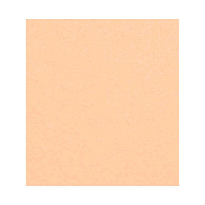 CHANEL LES BEIGES HEALTHY GLOW SHEER POWDER - B10