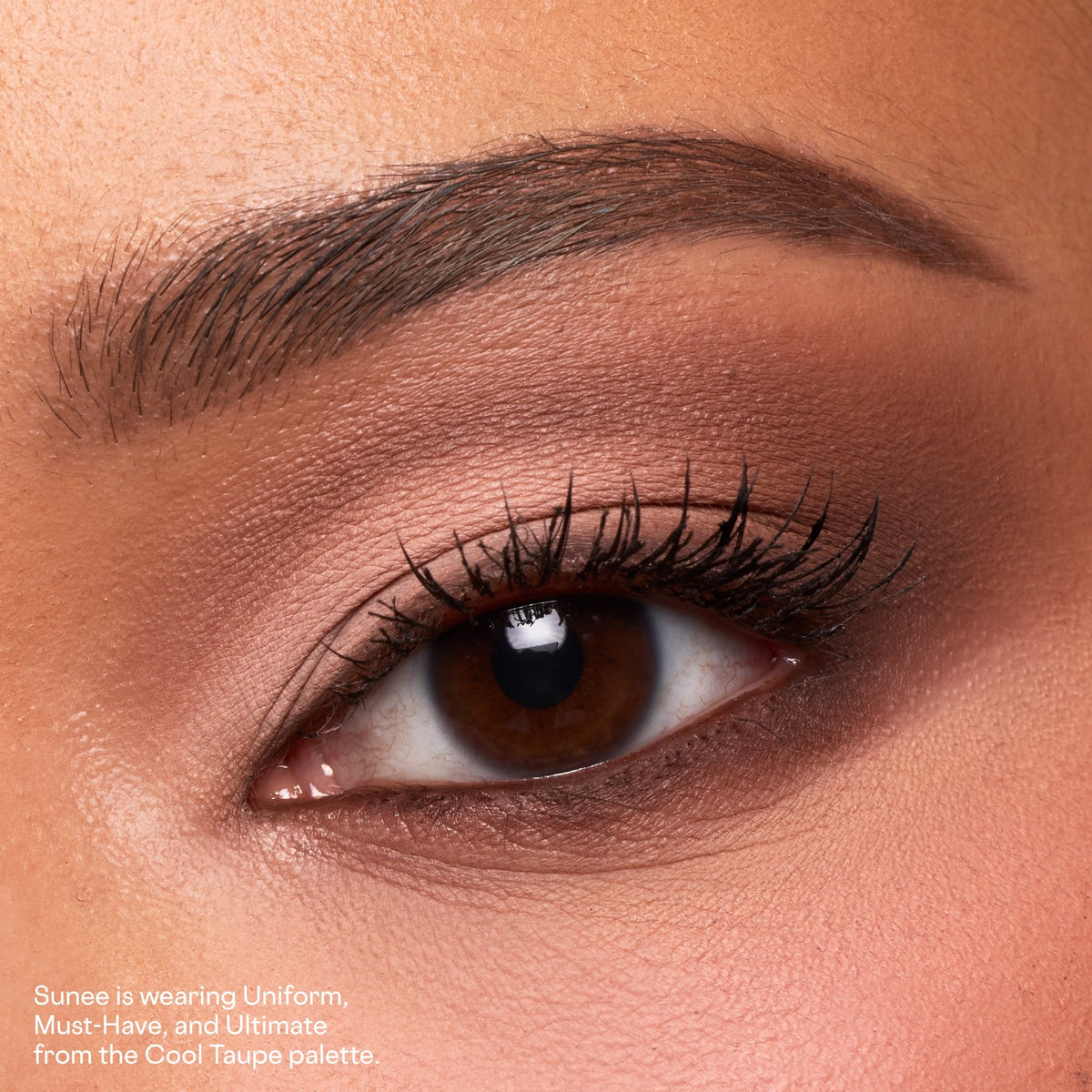 Patrick Ta Beauty Major Dimension Essential Artistry Edit Eyeshadow Palette